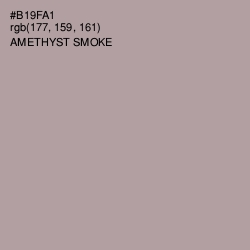 #B19FA1 - Amethyst Smoke Color Image