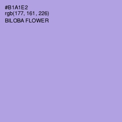 #B1A1E2 - Biloba Flower Color Image