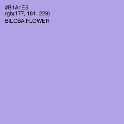 #B1A1E5 - Biloba Flower Color Image