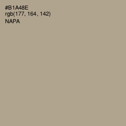 #B1A48E - Napa Color Image