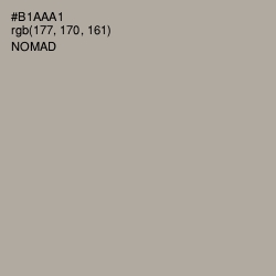 #B1AAA1 - Nomad Color Image
