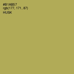 #B1AB57 - Husk Color Image