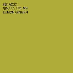 #B1AC37 - Lemon Ginger Color Image