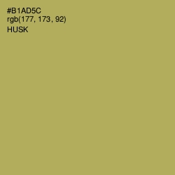 #B1AD5C - Husk Color Image