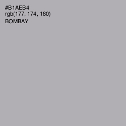 #B1AEB4 - Bombay Color Image