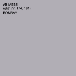 #B1AEB5 - Bombay Color Image