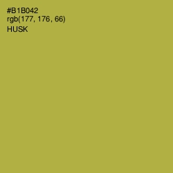 #B1B042 - Husk Color Image