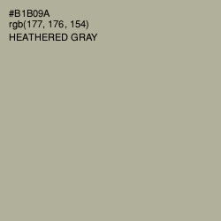 #B1B09A - Heathered Gray Color Image