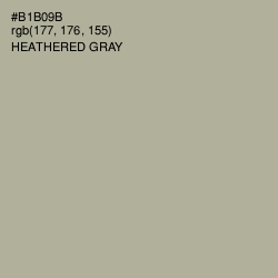 #B1B09B - Heathered Gray Color Image