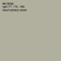 #B1B09E - Heathered Gray Color Image