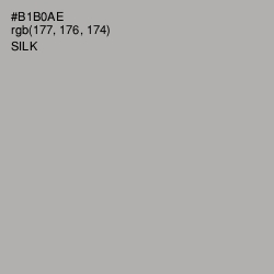 #B1B0AE - Silk Color Image