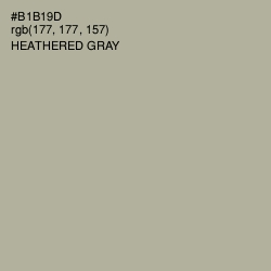 #B1B19D - Heathered Gray Color Image