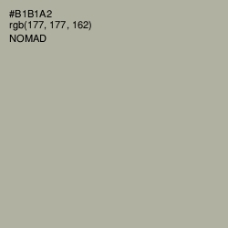 #B1B1A2 - Nomad Color Image