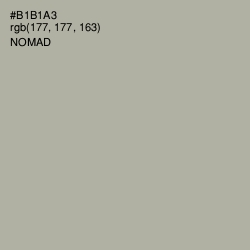 #B1B1A3 - Nomad Color Image