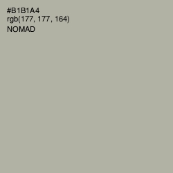 #B1B1A4 - Nomad Color Image