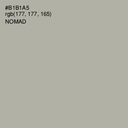 #B1B1A5 - Nomad Color Image