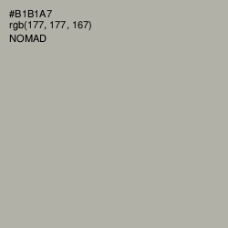 #B1B1A7 - Nomad Color Image