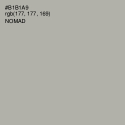 #B1B1A9 - Nomad Color Image