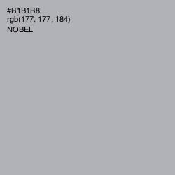 #B1B1B8 - Nobel Color Image