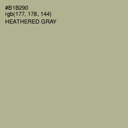 #B1B290 - Heathered Gray Color Image