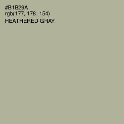 #B1B29A - Heathered Gray Color Image