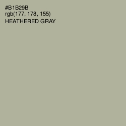 #B1B29B - Heathered Gray Color Image