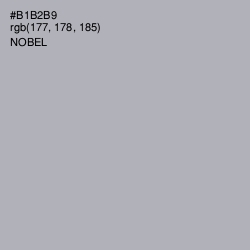 #B1B2B9 - Nobel Color Image