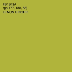 #B1B43A - Lemon Ginger Color Image