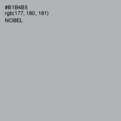 #B1B4B5 - Nobel Color Image