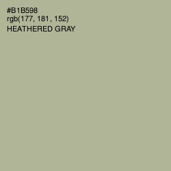 #B1B598 - Heathered Gray Color Image