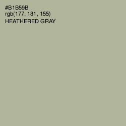 #B1B59B - Heathered Gray Color Image