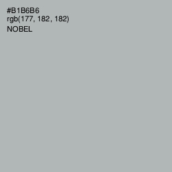 #B1B6B6 - Nobel Color Image