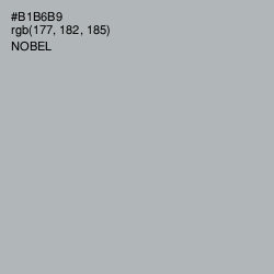 #B1B6B9 - Nobel Color Image