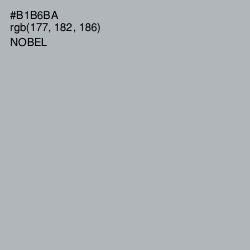 #B1B6BA - Nobel Color Image