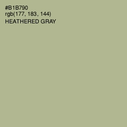 #B1B790 - Heathered Gray Color Image