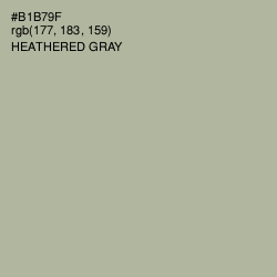 #B1B79F - Heathered Gray Color Image