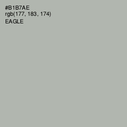 #B1B7AE - Eagle Color Image