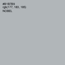 #B1B7B9 - Nobel Color Image