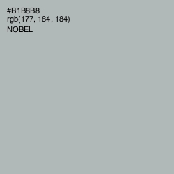 #B1B8B8 - Nobel Color Image