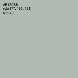 #B1B9B5 - Nobel Color Image