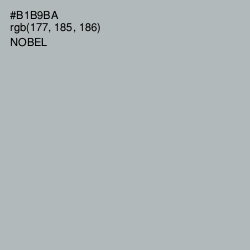 #B1B9BA - Nobel Color Image