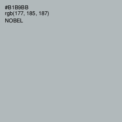 #B1B9BB - Nobel Color Image