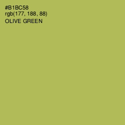 #B1BC58 - Olive Green Color Image