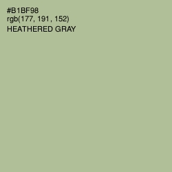 #B1BF98 - Heathered Gray Color Image