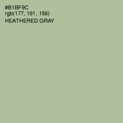 #B1BF9C - Heathered Gray Color Image