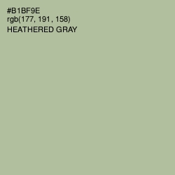 #B1BF9E - Heathered Gray Color Image