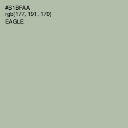 #B1BFAA - Eagle Color Image