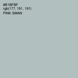 #B1BFBF - Pink Swan Color Image