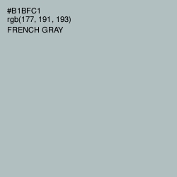 #B1BFC1 - French Gray Color Image