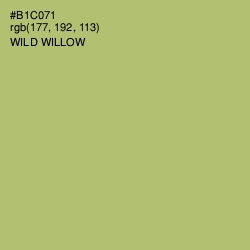 #B1C071 - Wild Willow Color Image